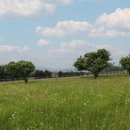 Fordie East Cottage Крийф Екстериор снимка
